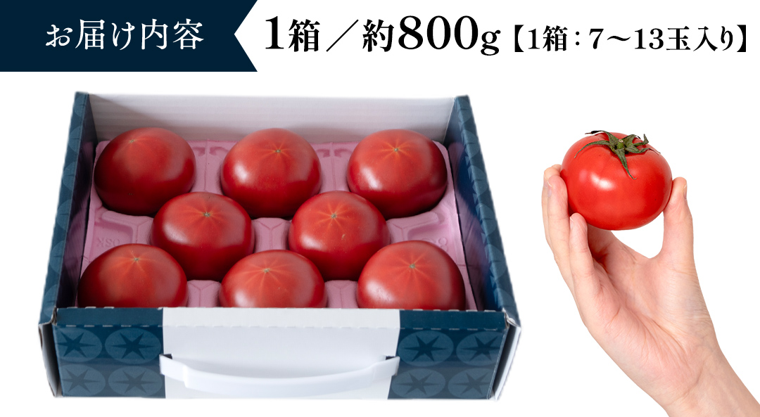 【～2025/2/28まで特別寄附金額】糖度9度以上 てるて姫小箱 約800g×1箱 ブランドトマト 2025年2月上旬発送開始 フルーツトマト トマト とまと てるてひめ 桜川市 茨城県桜川市 [B