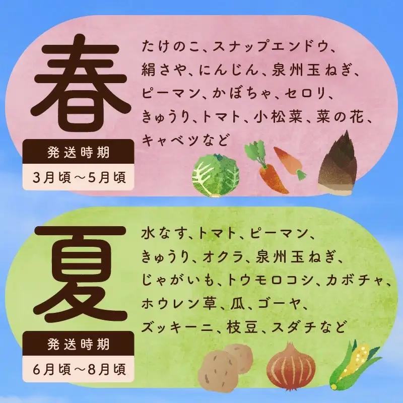 泉州野菜 定期便 15種類以上×全3回【毎月配送コース】