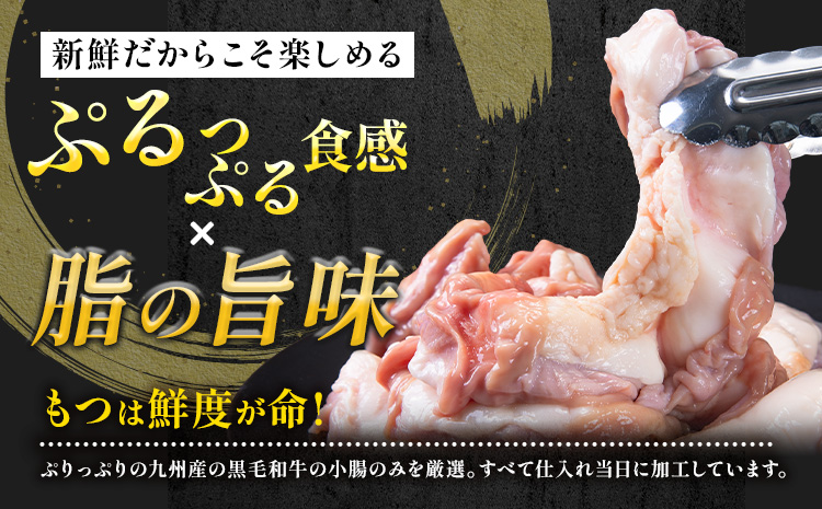 1本もつ鍋 (醤油味) 厚腸編 1kg 入り《30日以内に出荷予定(土日祝除く)》もつ もつ鍋 醤油味 鍋 セット 詰め合わせ 牛 牛もつ 送料無料---sc_fsmmtk_30d_24_19500_