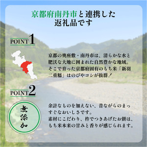 餅 5種 セット ( 新光悦もち 8個×2 黒豆もち 6枚 切り餅 7枚 こがねもち 6枚 スライスもち 200g ) 新羽二重糯 小分け 本格 杵つき 餅 南丹市 産 もち米 使用 新光悦餅 道の駅