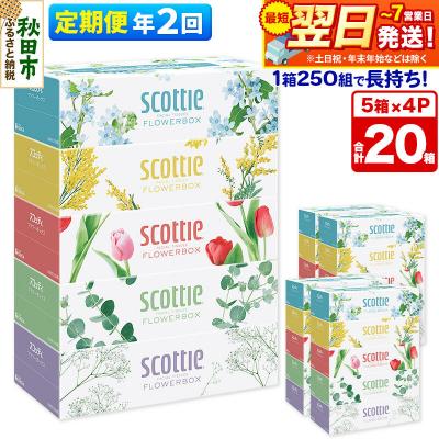 ふるさと納税 秋田市 《2回定期便》ティッシュ フラワーボックス 20箱 5箱×4P|15_nsc-070402