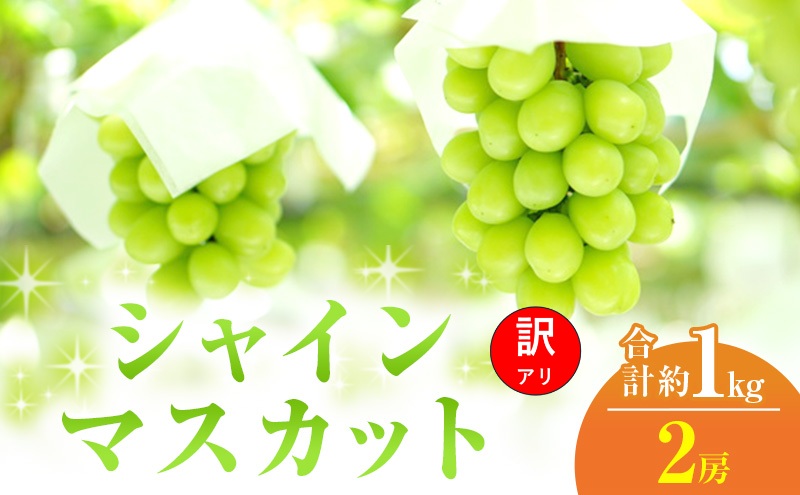訳あり シャインマスカット 2房 合計 約1kg 岡山県 高梁市産 2026年 先行予約 常温 ぶどう フルーツ 葡萄 ブドウ 皮ごと 産地直送 大粒 爽やか 食べやすい