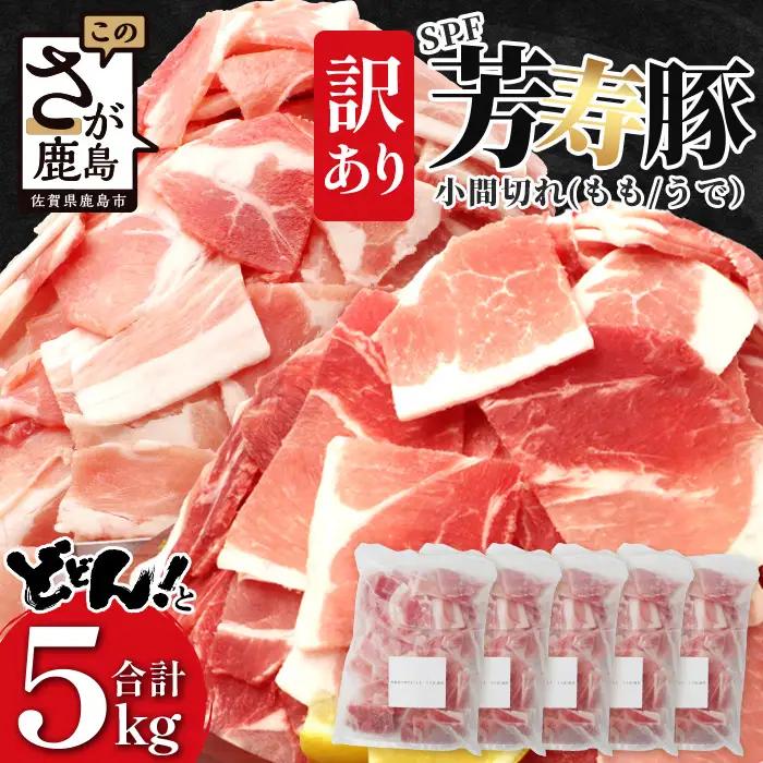 訳あり SPF 芳寿豚 小間切れ 大満足セット 1kg×5袋 合計5kg 業務用サイズ 豚肉 こま切れ 切落し 切り落とし
