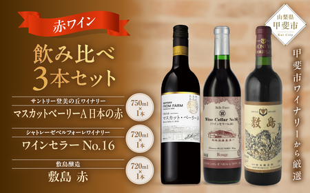 ＜甲斐市産　赤ワイン飲み比べ3本セット＞　ワイン　家飲み　赤ワイン　辛口　ミディアムボディ　メルロー　シラー　SUNTORY　敷島　登美　山梨ワイン　日本ワイン　酒　フロムファーム　テーブルワイン　定