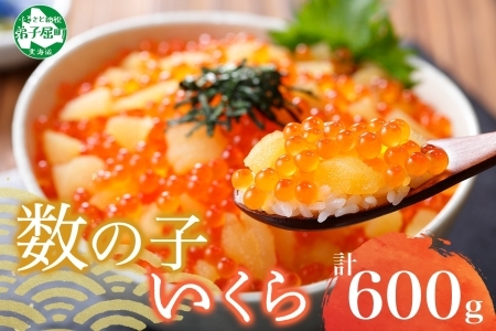 2979. 数の子 いくら 醤油漬け 100g× 6パック 計600g イクラ 醤油漬け さけ いくら 鮭 しょうゆづけ 魚卵 海鮮 人気 海鮮丼 寿司 おかず つまみ おつまみ ごはんのおとも 贅沢 グルメ 送料無料 北海道 弟子屈町