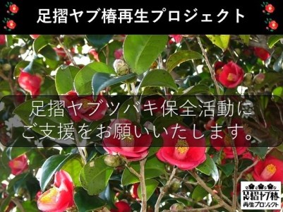 【記念苗木付き】足摺ヤブ椿再生プロジェクトへの支援・応援 【R00080】