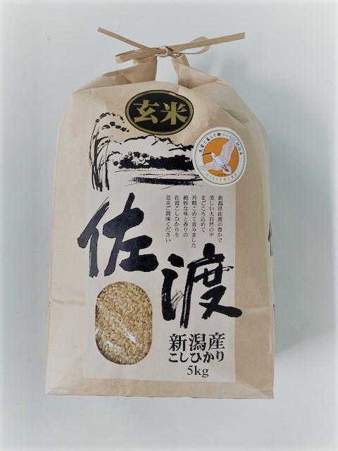 米 玄米 朱鷺と暮らす郷 佐渡産 コシヒカリ ( 5kg )