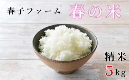 《令和7年産》春の米　精米　5kg ／ 米 お米 こめ コメ ごはん 無農薬 農薬不使用 春の米 精米 白米 令和7年産 5kg 千葉県 東庄町 春子ファーム 産地直送 産直 送料無料