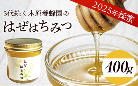 はぜはちみつ 400g 蜂蜜 国産 熊本県荒尾市産 純粋蜂蜜 木原養蜂園《30日以内に順次出荷(土日祝除く)》