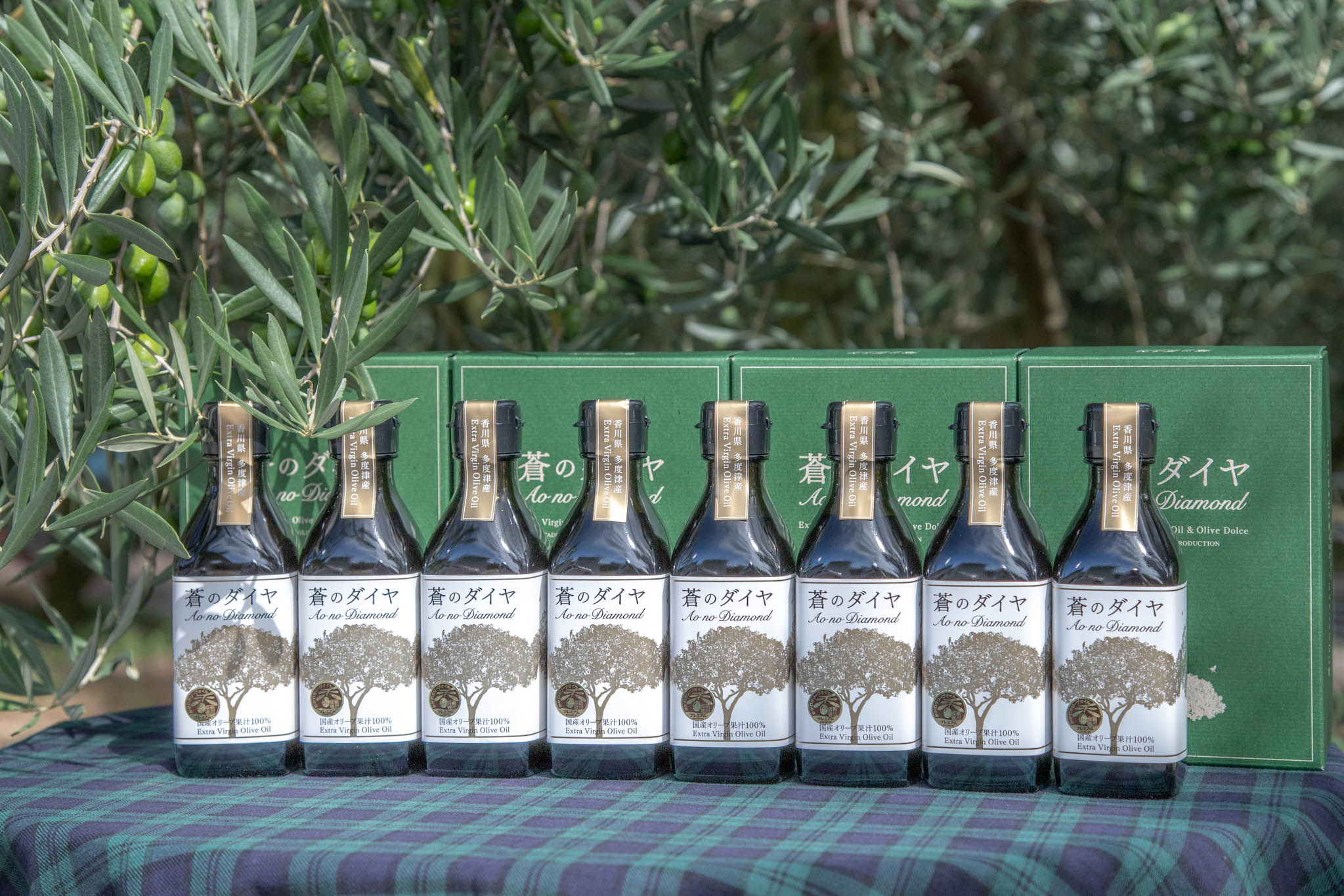 「蒼のダイヤ」オリーブオイルセットG【予約受付中！11月中旬以降発送】【G-3】