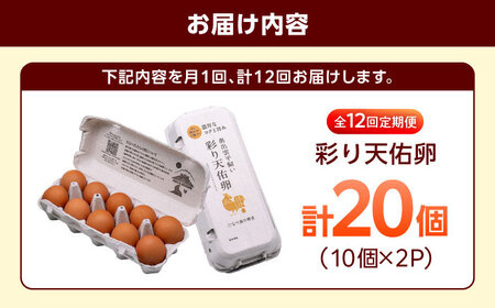 【12回定期便】彩り天佑卵 20個入り [AIDL015] 卵
