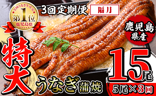 i1176-B ＜定期便・計3回(隔月)＞＼特大サイズ／鹿児島県産 うなぎ蒲焼 5尾セット ＜（約220g×5・計約1100g）×全3回＞ 定期便 たれ 山椒付きうなぎ 鰻 ウナギ 特大 特大サイズ 
