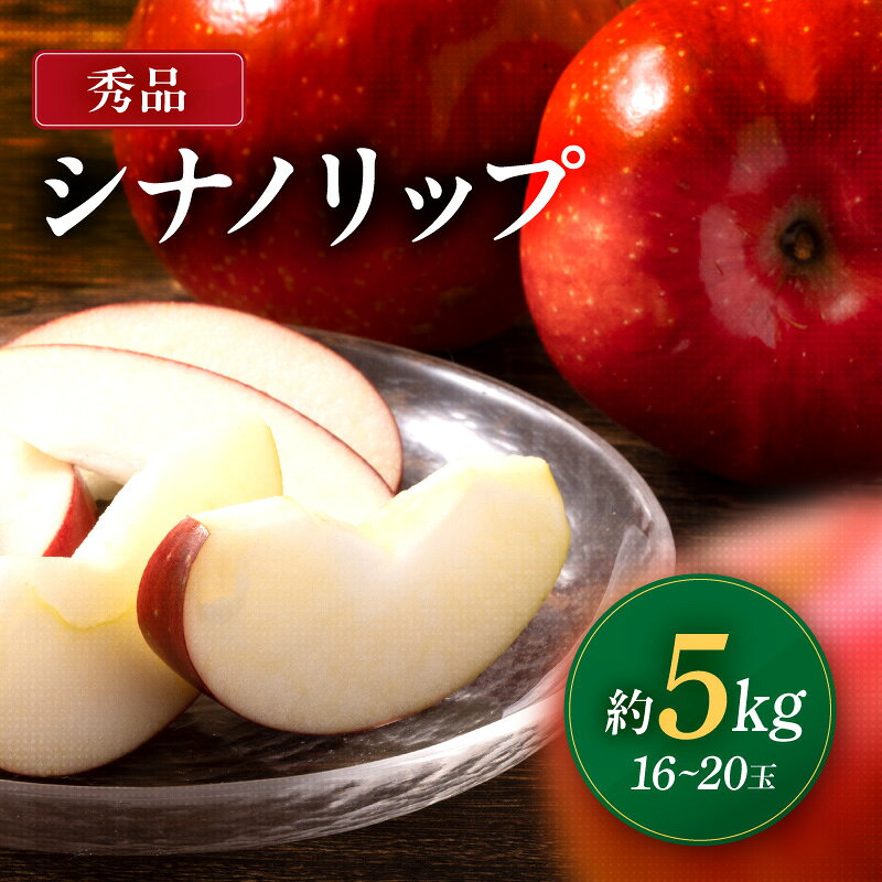 【ふるさと納税】 南信州産 シナノリップ 秀品 約5kg 16～20玉 JAみなみ信州DMセンター飯田市 | シナノリップ りんご 林檎 リンゴ 果物 フルーツ 果汁 信州 南信州 送料無料 ふるさと納税 長野県 飯田市 K26