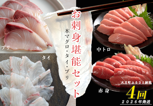 【定期便 4回】本マグロ・タイ・ブリ お刺身堪能セット