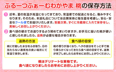 和歌山県の桃 3玉 手提げ袋入り もも 株式会社ふるーつふぁーむわかやま 《7月上旬-8月中旬頃出荷》 和歌山県 紀の川市