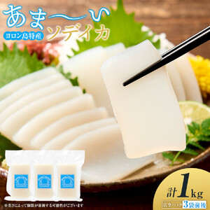 ヨロン島特産☆あま～いソデイカ 1kgセット | イカ