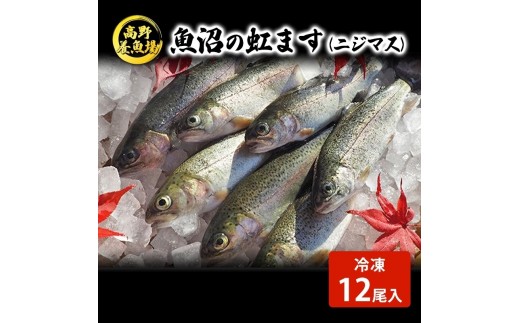 
[№5762-0468]魚沼の虹ます（ニジマス）冷凍12尾入
