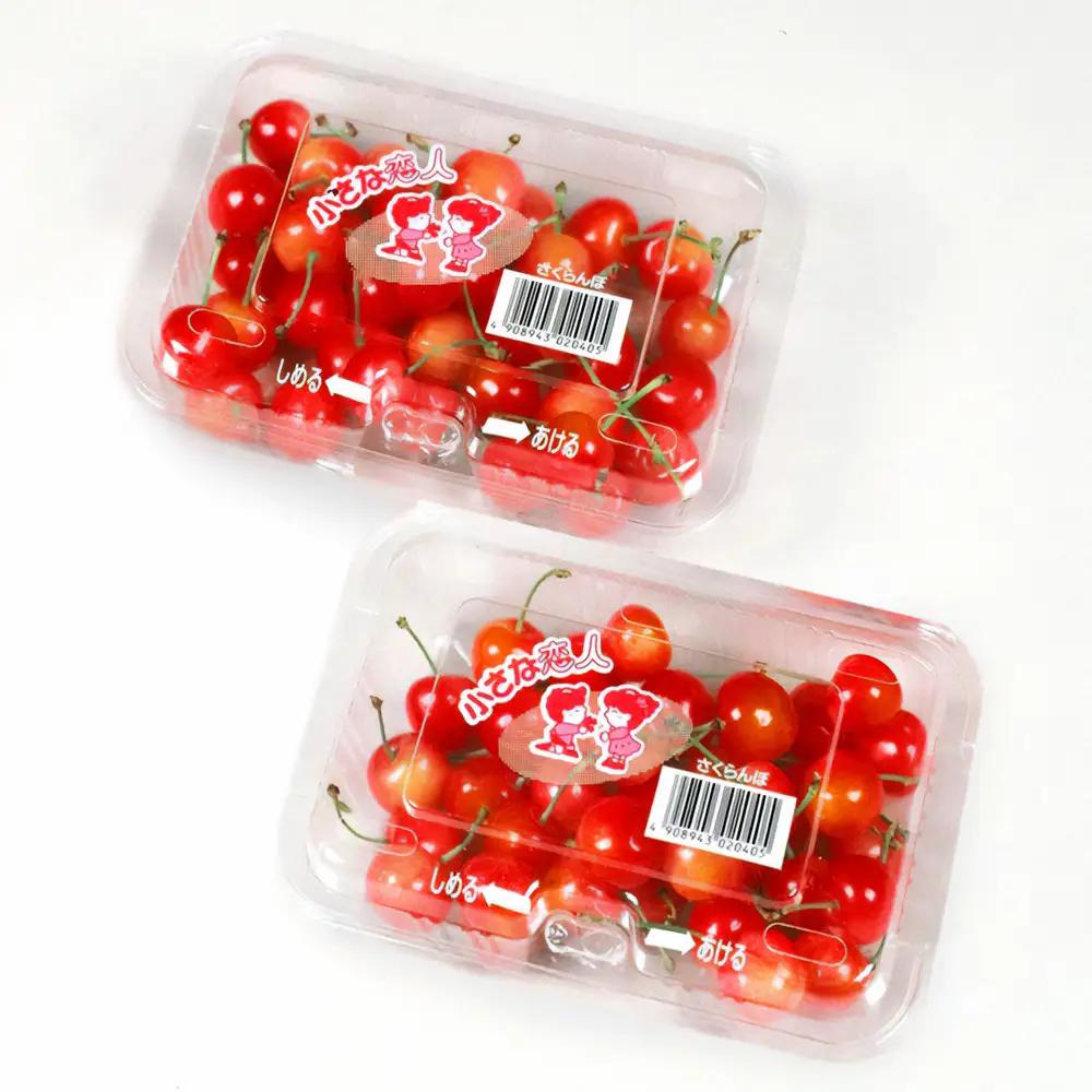 【先行予約】 さくらんぼ ご家庭用 佐藤錦 秀品 M玉以上 約360g 令和9年産 2027年産 山形県産 フルーツ 果物 tf-snpsm360