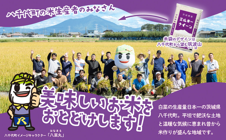 【精米】ミルキークイーン 20kg 白米 20kg(5kg×4袋) ブランド米