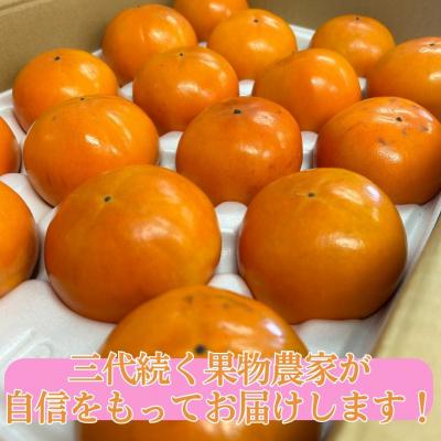 ふるさと納税 湯梨浜町 富有柿16〜20玉〔ご家庭用〕(23M.) |  | 01