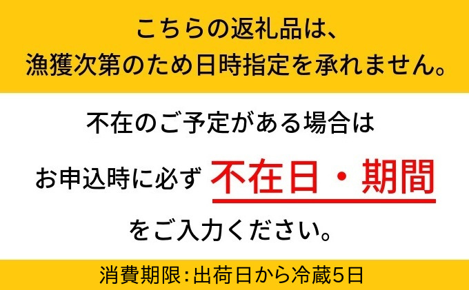 【2024年3月中旬以降発送】富山産ボイルホタルイカ360g（120g×3）