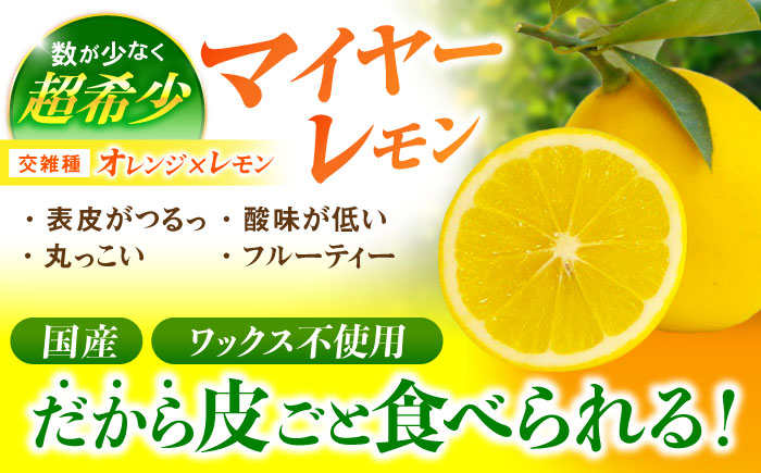 【大人気みかんとレモンのお試しセット】伊木力みかん(家庭用)1.8kg マイヤーレモン1.8kg 計3.6kg / みかん ミカン 蜜柑 mikan 柑橘 かんきつ レモン れもん 檸檬 果汁 果物 