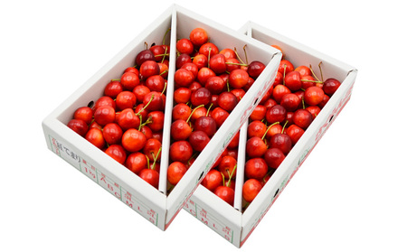 【ご家庭みんなで楽しめる！2kg】山形のさくらんぼ 紅てまり 2kg Lサイズ以上 バラ詰 (1kg×2箱) 【令和8年産先行予約】FS25-009