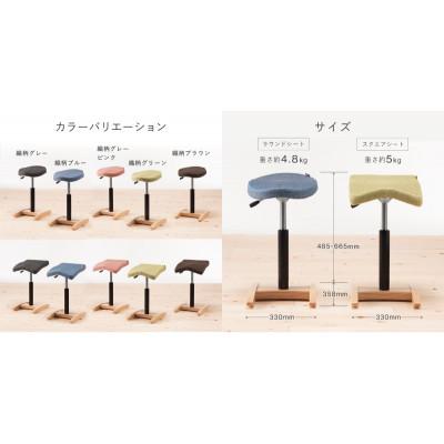 ふるさと納税 美濃市 バランス シナジー　ラウンドシート(カバー付き)[本体:織柄グレーピンク/カバー:ネイビー] |  | 03