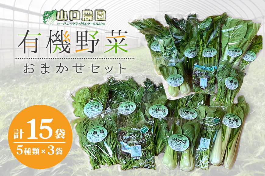 
（チルド）　山口農園　有機野菜　おまかせセット　／　有機野菜　伝統野菜　オーガニック　ベジタリアン
