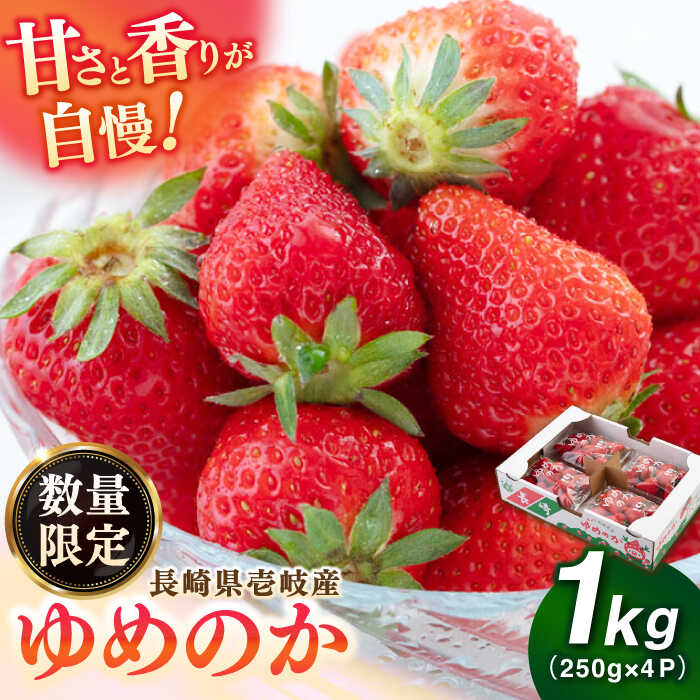 【ふるさと納税】壱岐市産 いちご ゆめのか 1kg（250g×4パック）《壱岐市》【壱岐市農業協同組合】[JBO138] イチゴ フルーツ 果物 スムージー 完熟 春いちご 数量限定 12000 12000円