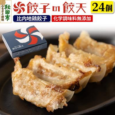 ふるさと納税 秋田市 【比内地鶏餃子24個詰合せ】餃子の餃天|15_ggt-142401