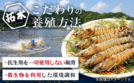 【訳あり】伊万里産 冷凍車海老（加熱用） 計1.25kg（250g×5袋） / 佐賀県 / 株式会社拓水 伊万里クルマエビセンター [41AEAJ012]