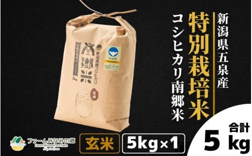 【先行予約】令和6年産 特別栽培米 新潟県五泉産コシヒカリ 「南郷米」 玄米 5kg 新潟県 五泉市 ファームみなみの郷