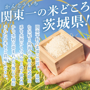【2ヶ月定期便】茨城県産にじのきらめき　精米　10kg｜精米 定期便 お米 米 こめ コメ ごはん 白米 阿見町 茨城県 茨城県産 茨城県産米 安心 安全 送料無料 国産 人気 数量限定 高評価（85