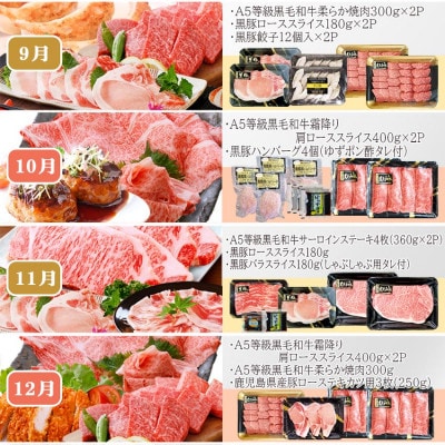 お肉の定期便(12回)枕崎お楽しみ便(A5等級黒毛和牛・黒豚・黒豚加工品etc) KK−6003【1166746】