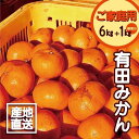 【ふるさと納税】【限定】 【11月より順次発送】有田みかん 6kg + 1kg補償分 訳あり サイズ混合 ご家庭用 有田 みかん 温州みかん フルーツ 果物 果実 柑橘 甘い ジューシー 国産 食品 食べ物 産地直送 お取り寄せ 和歌山県 湯浅町 福田農園 送料無料