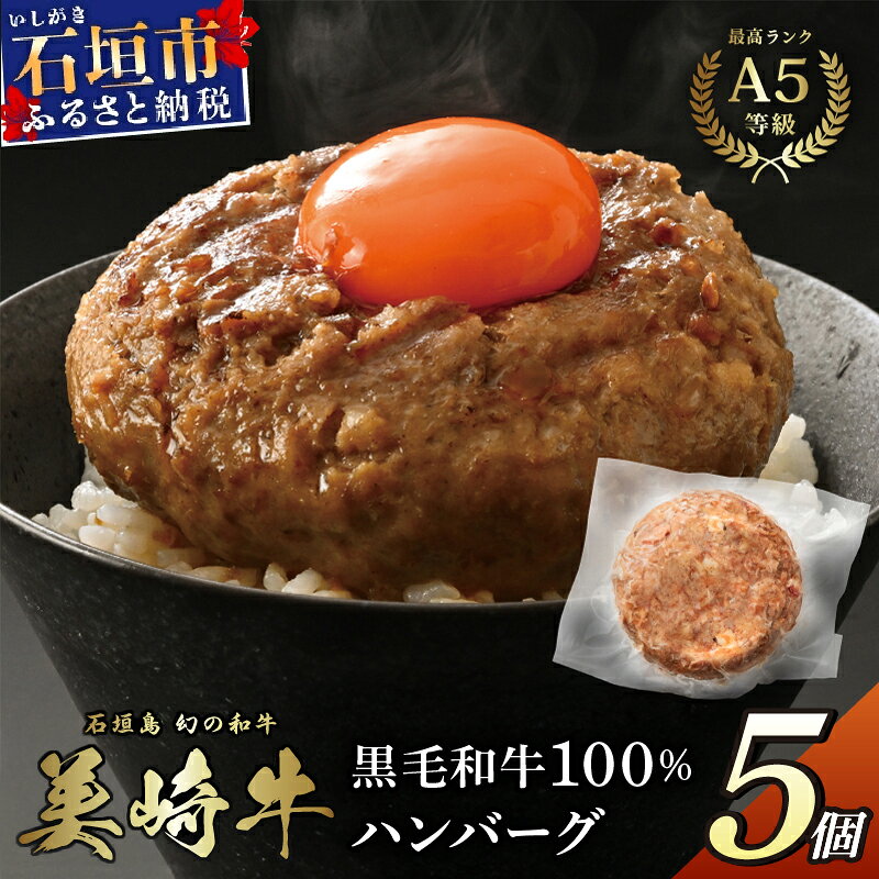 【ふるさと納税】美崎牛 100％ ハンバーグ 200g×5個 | 沖縄のブランド牛「美崎牛」を贅沢に使用したご当地グルメ 牛肉 和牛 黒毛和牛 沖縄 石垣 A5 オーガニック 幻の和牛 ハンバーグ