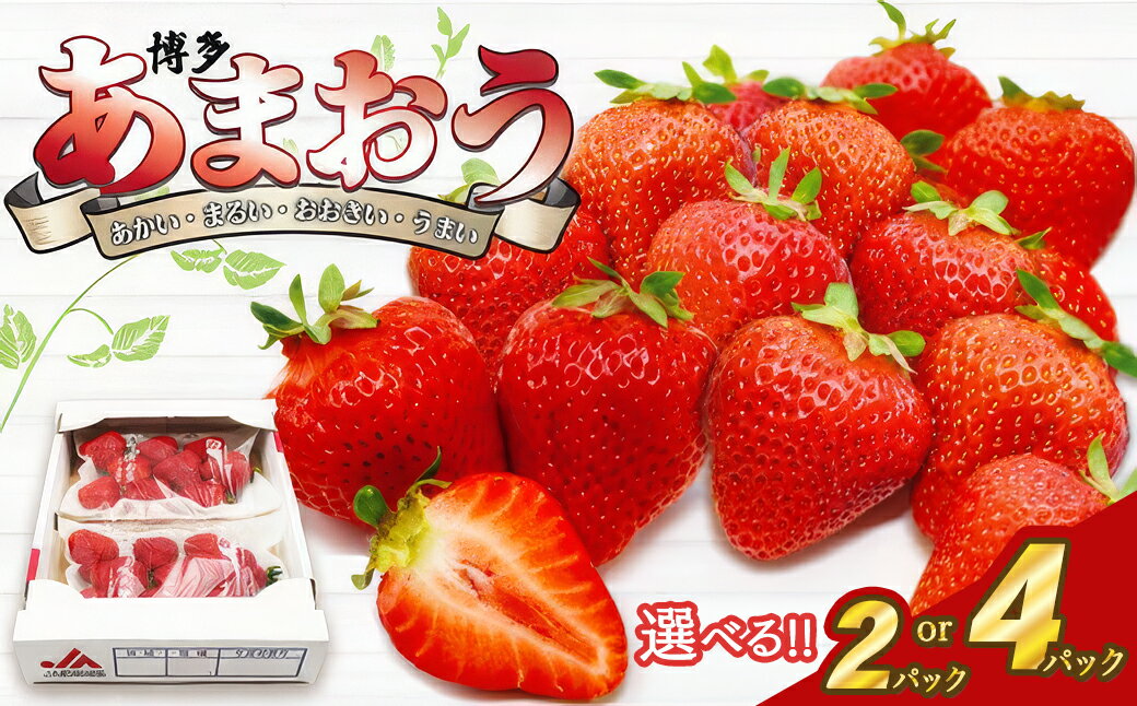 【ふるさと納税】【2027年3月発送】選べる容量 博多あまおう 約250×2パック 約250g×4パック 国産 九州 福岡県産 福津市 あまおう イチゴ いちご 苺 果物 くだもの フルーツ 先行予約 送料無料[Z2211r] [Z2213r]