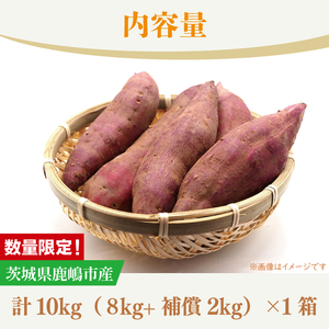 訳あり さつまいも 10kg 生いも 自然栽培  紅はるか さつまいも