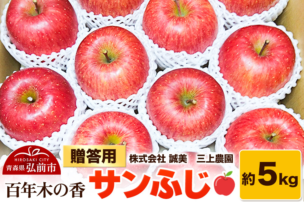
            りんご【先行受付】贈答用 百年木の香 三上農園 サンふじ 約5kg
          