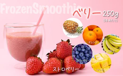 【定期便 6か月】冷凍スムージー 5本セット