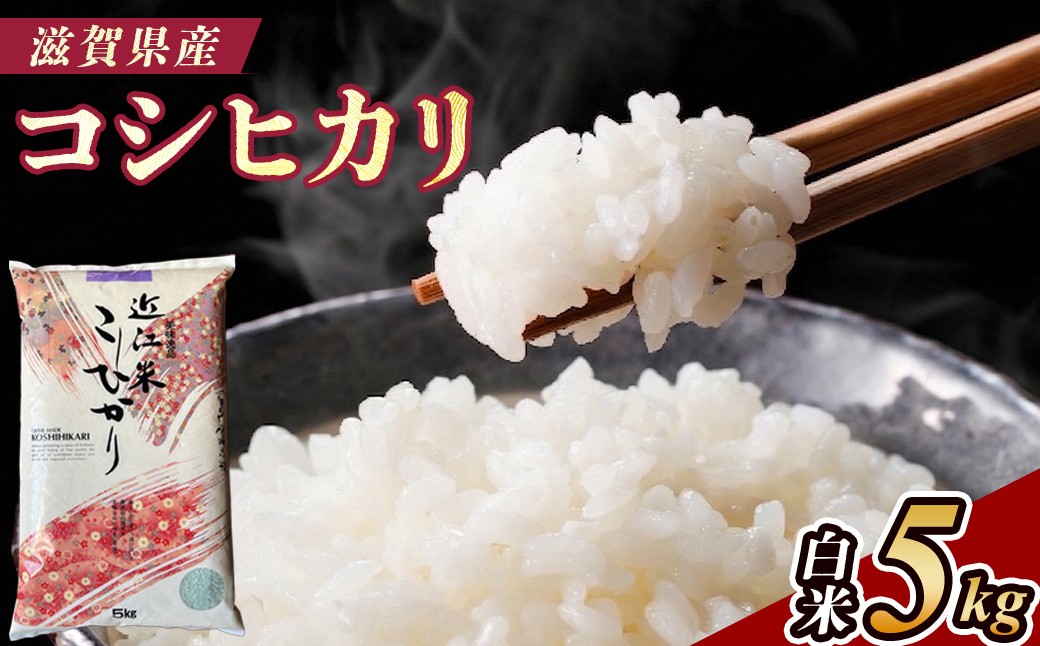 
                  【令和7年産】近江米コシヒカリ白米5kg
                