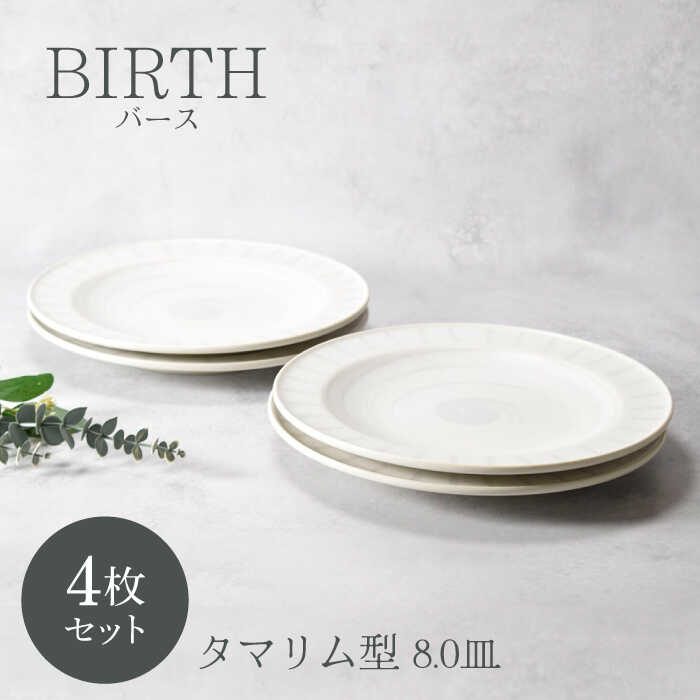 【ふるさと納税】【美濃焼】バース タマリム型 8.0皿 4枚セット 美濃焼【カネ定製陶】[MEI046]