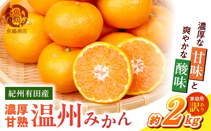 
                  【2026年先行予約】 ご家庭用訳アリ 紀州有田産 濃厚 甘熟 温州みかん 石垣 段々畑 紀伊水道 酸味 甘味 バランス コク深い 味わい フルーツ デザート 和歌山県 湯浅町 送料無料 _G7325
                
