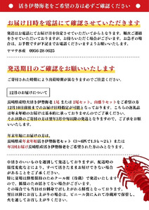 【伊勢海老】活き 伊勢海老 2尾 ( 700g ～ 900g × 2 ) エビ A108