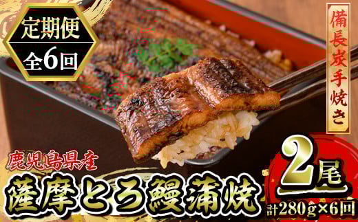 2174-1 【江口商店監修】薩摩とろ鰻蒲焼二尾 280g（140g×2）＜6ヶ月定期＞　KN084-T02