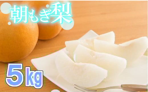 【令和8年度先行予約】100年の歴史！！　アライファームの「朝もぎ梨」幸水・豊水・あきづき 約5kg　【11246-0353】
