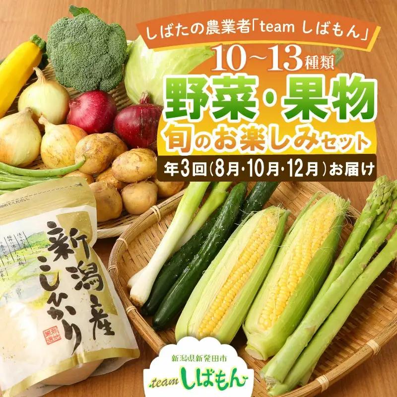 野菜 10～3品目野菜セット 年3回 定期便 野菜 野菜 野菜 野菜 野菜 C17_01