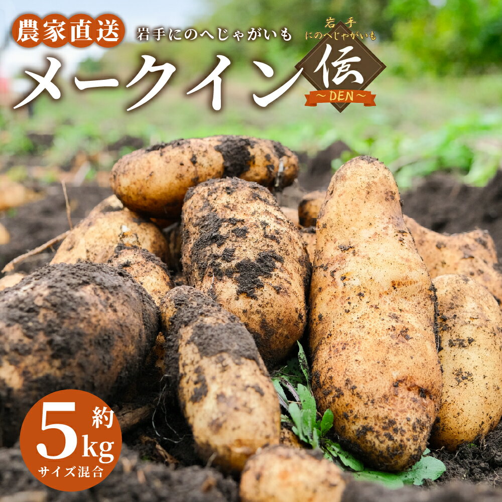 【ふるさと納税】【厳選品】岩手にのへじゃがいも「伝」メークイン（サイズ混合） 5kg ／ 化粧箱入り じゃがいも ジャガイモ じゃが芋 野菜 やさい 俵型 煮込み料理 おでん カレー シチュー お鍋 国産 岩手県産 二戸市 送料無料 【2026年9月上旬～2027年2月上旬発送予定】