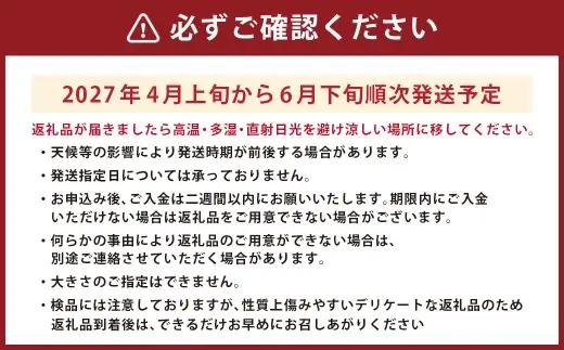 ＜ R8年熊本地震復興支援 ＞熊本うえきスイカ 1玉 （ 約10kg ） スイカ すいか 西瓜 大玉スイカ 大玉 果物 くだもの フルーツ 果実 果肉 国産 熊本県産 甘み 【 2027年4月上旬から